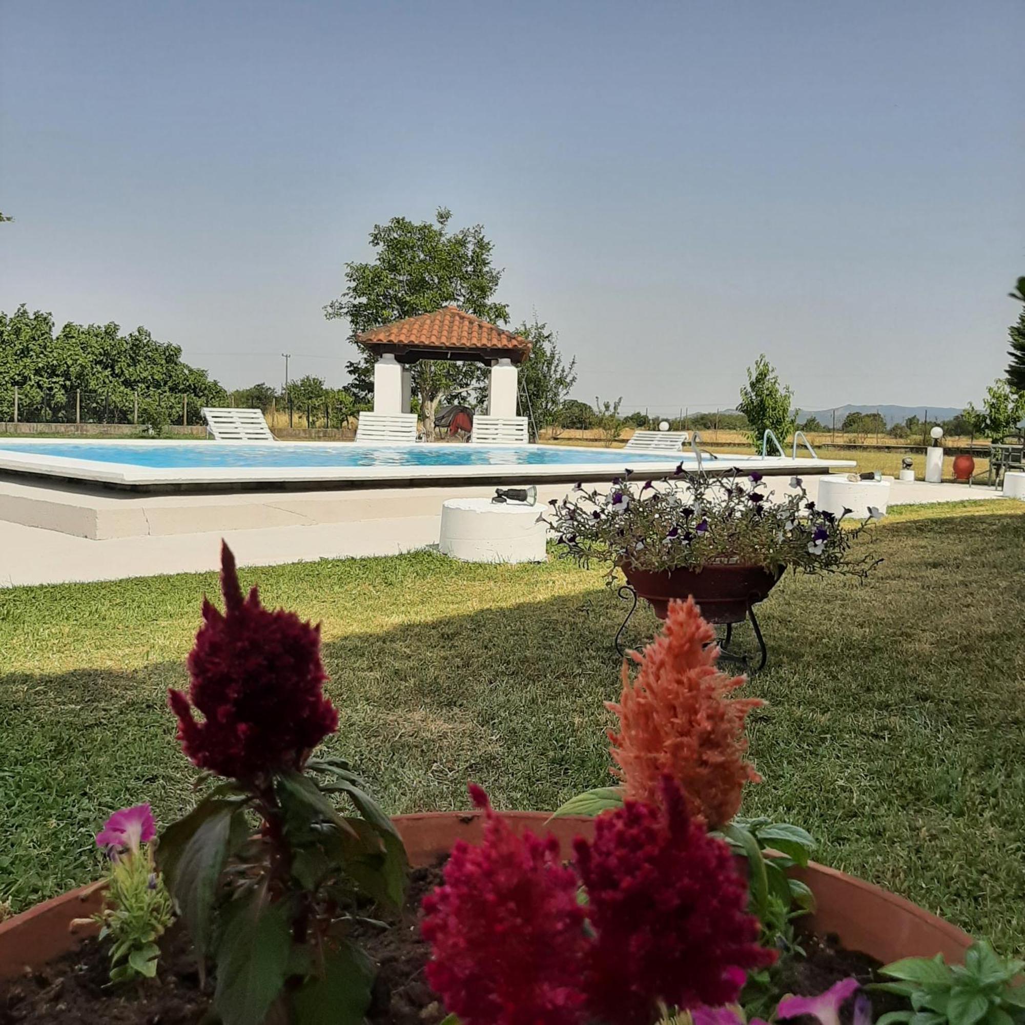 Villa Αρχοντικό Παπανικολάου à Ligaria  Extérieur photo